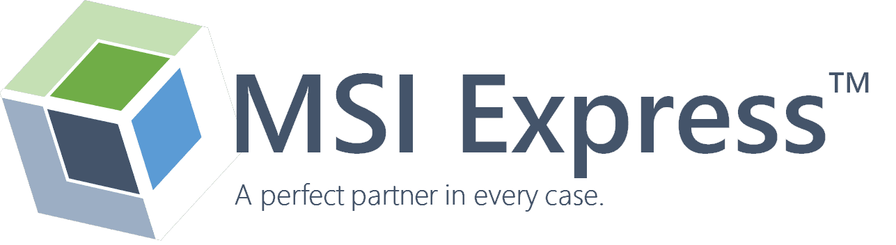 MSI Express Logo